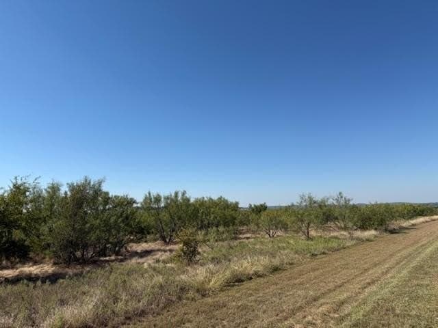 5.03 acres in Palo Pinto County featured view
