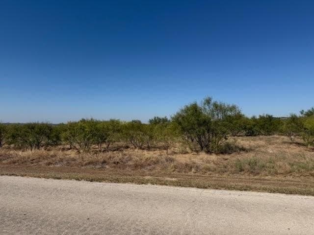 5.03 acres in Palo Pinto County gallery image 2