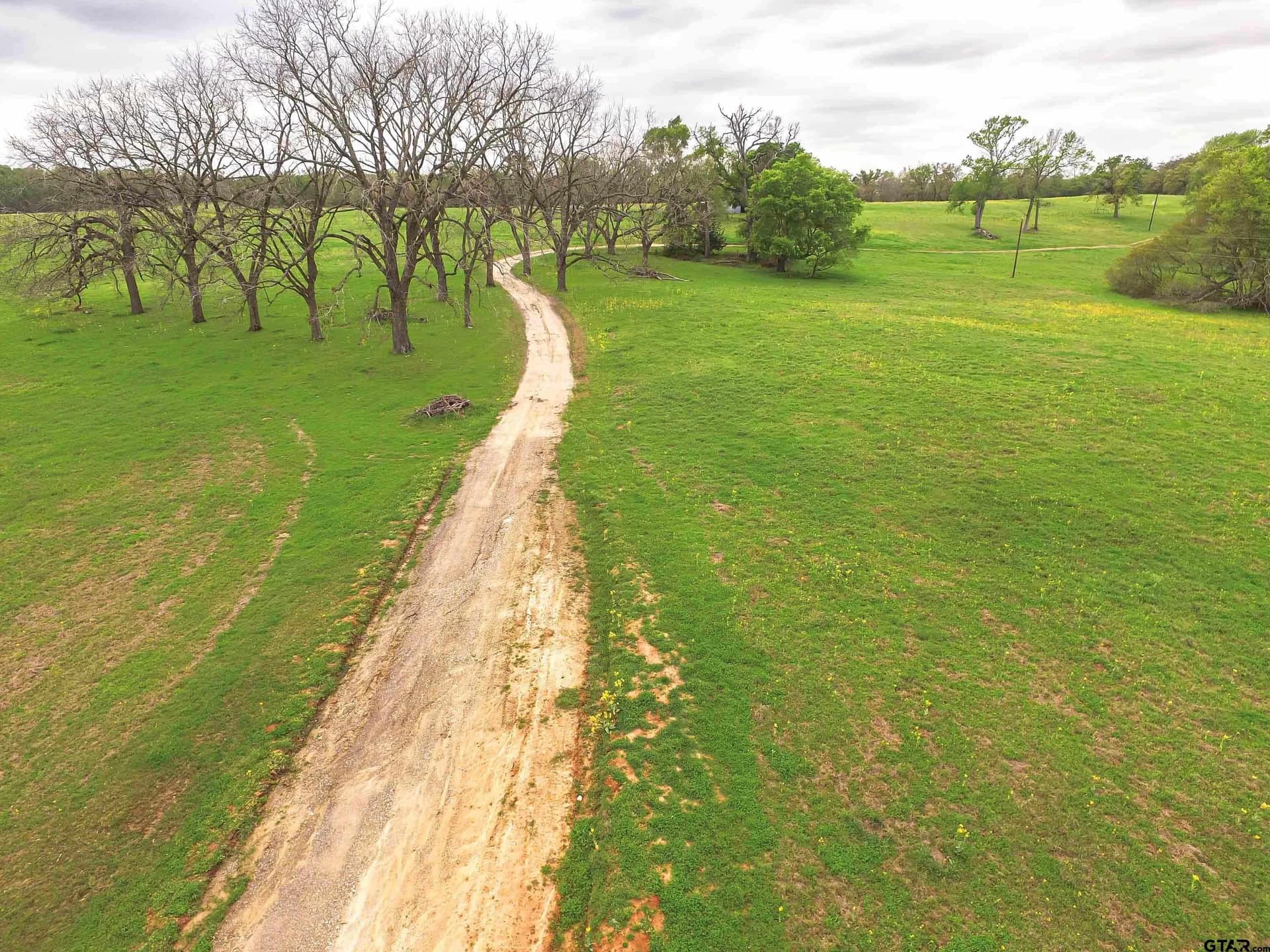 72.5 acres in Smith County gallery image 4