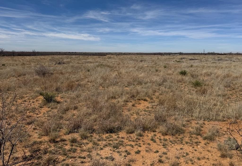 23 acres in Scurry County - photo 6
