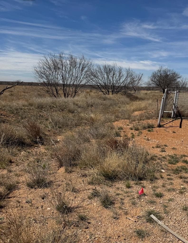 23 acres in Scurry County gallery image 4