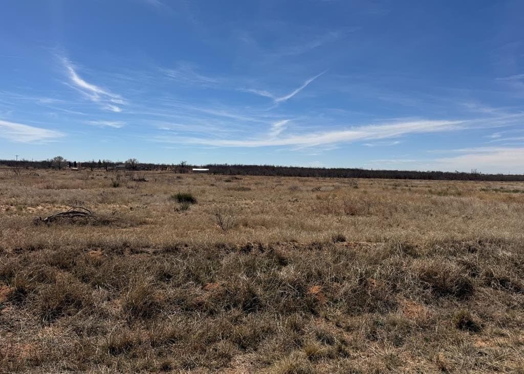 23 acres in Scurry County gallery image 3