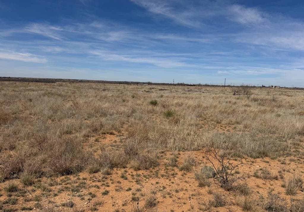 23 acres in Scurry County - photo 7
