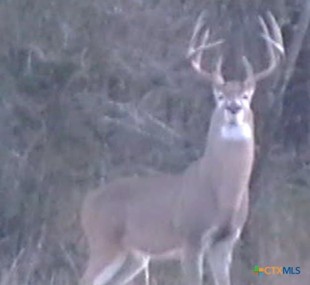 347.01 acres in Bell County - photo 12