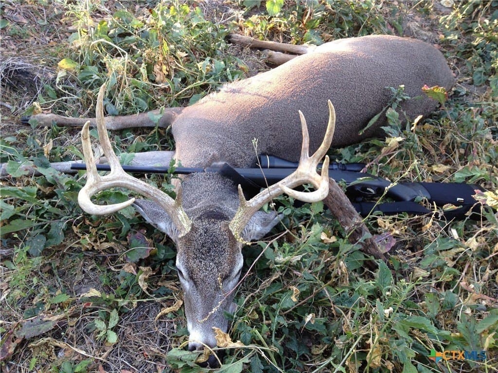 347.01 acres in Bell County - photo 5