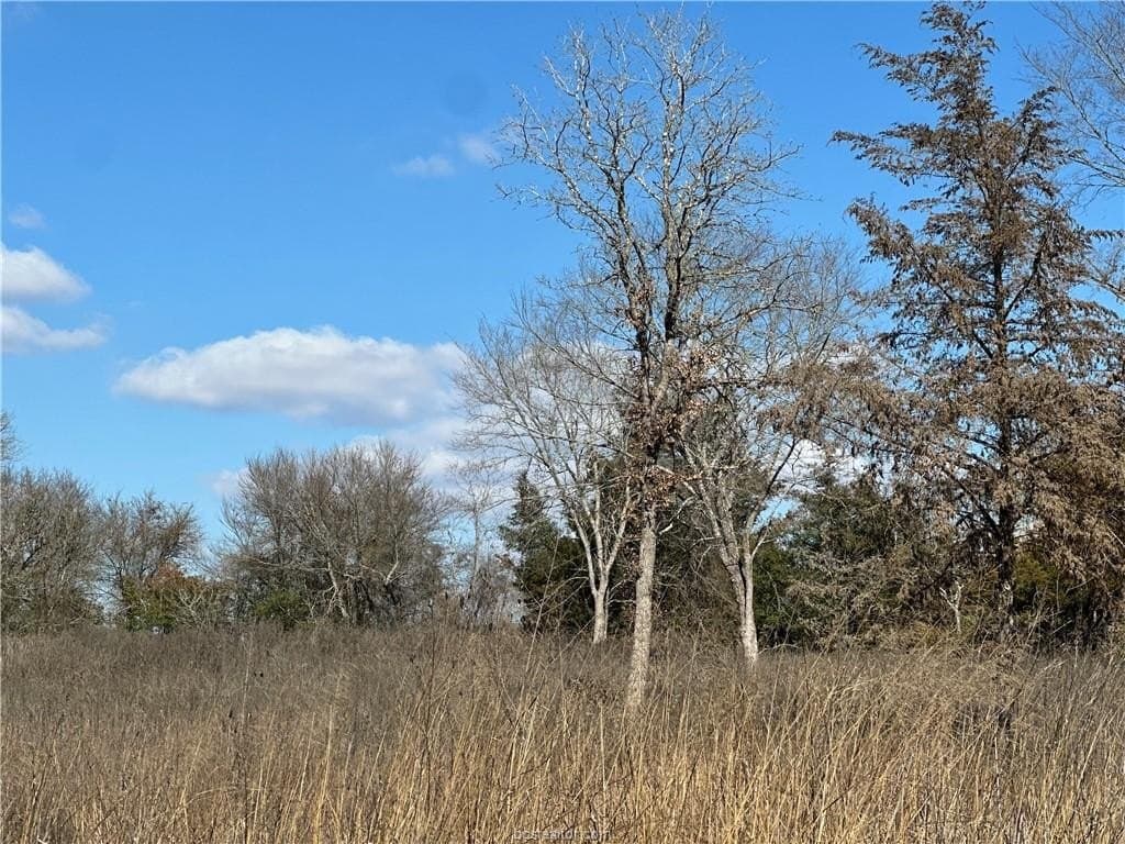 14 acres in Robertson County - photo 9