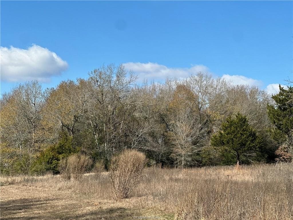 14 acres in Robertson County - photo 8