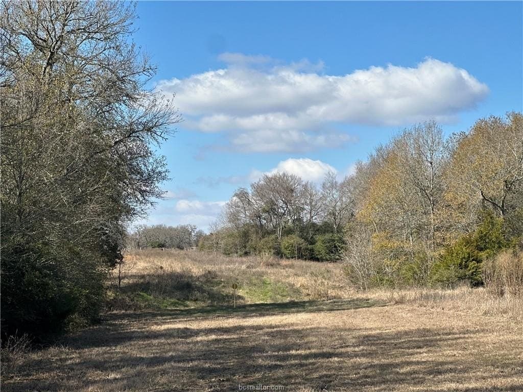 14 acres in Robertson County - photo 6