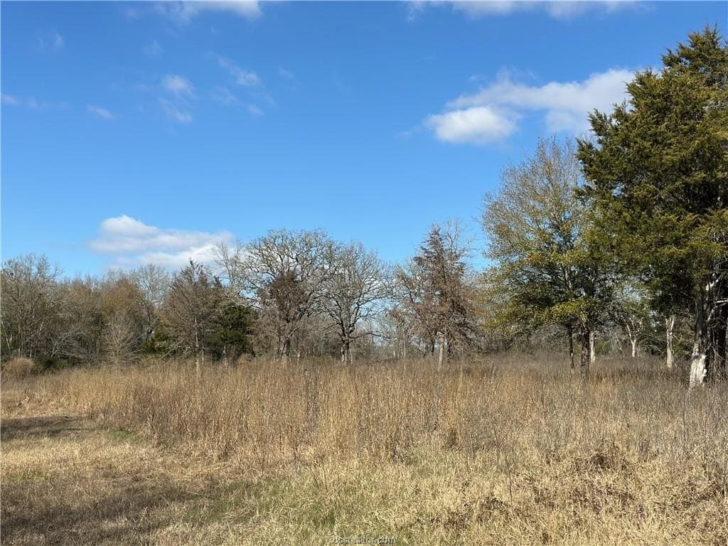 14 acres in Robertson County gallery image 4