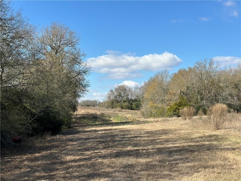 14 acres in Robertson County featured view