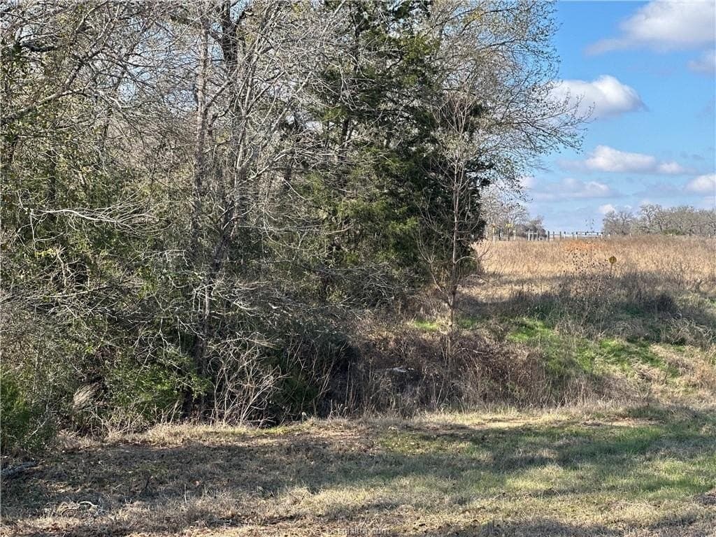 14 acres in Robertson County - photo 14