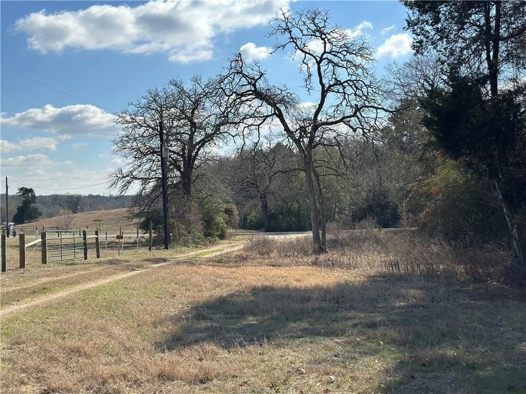 14 acres in Robertson County gallery image 3