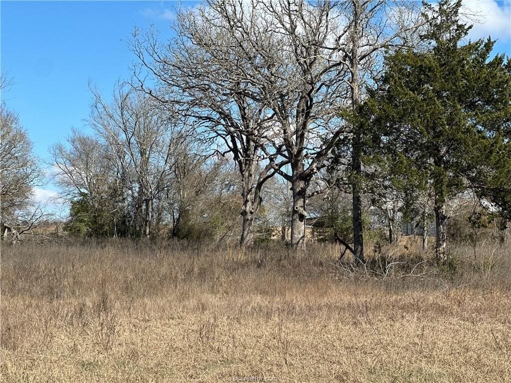 14 acres in Robertson County - photo 12