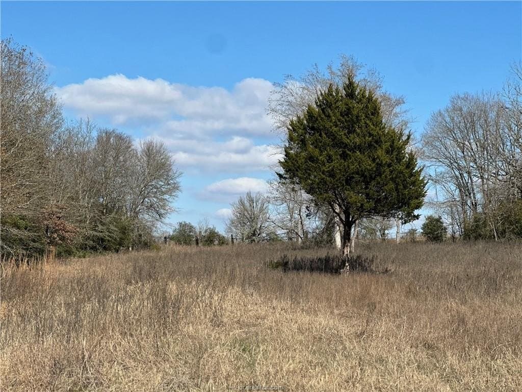 14 acres in Robertson County - photo 15