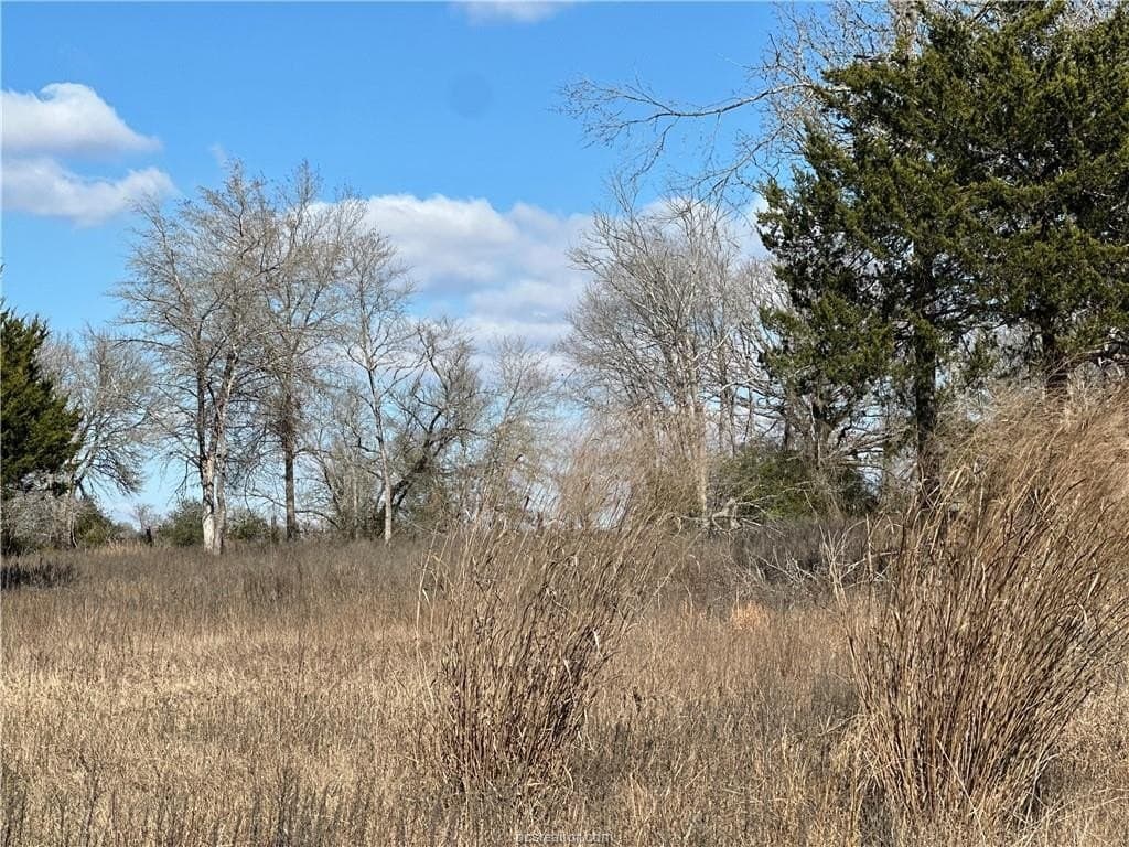 14 acres in Robertson County - photo 11