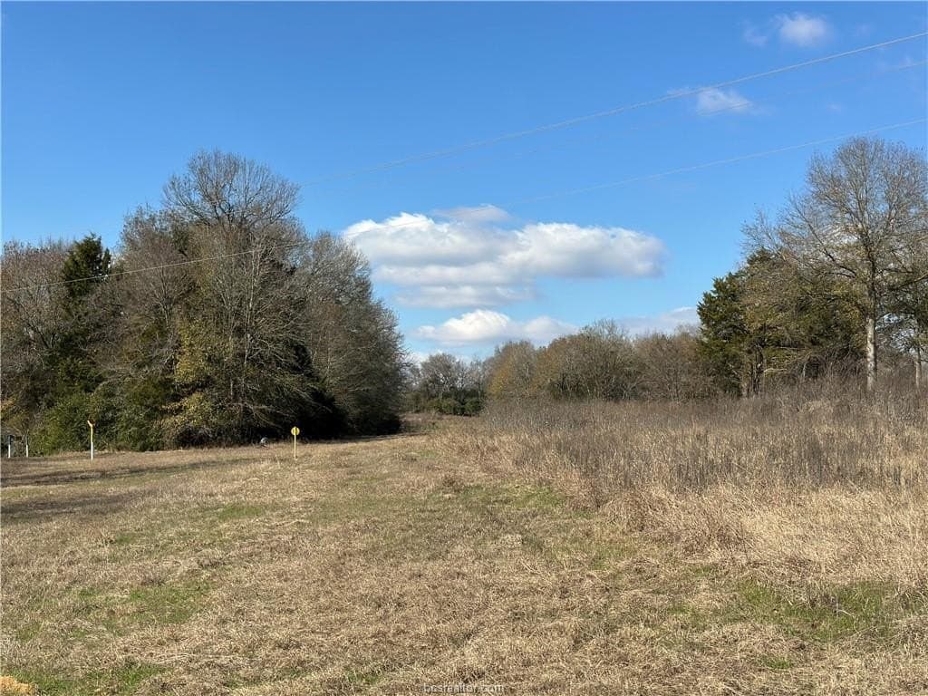 14 acres in Robertson County gallery image 2