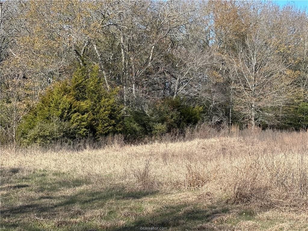 14 acres in Robertson County - photo 16