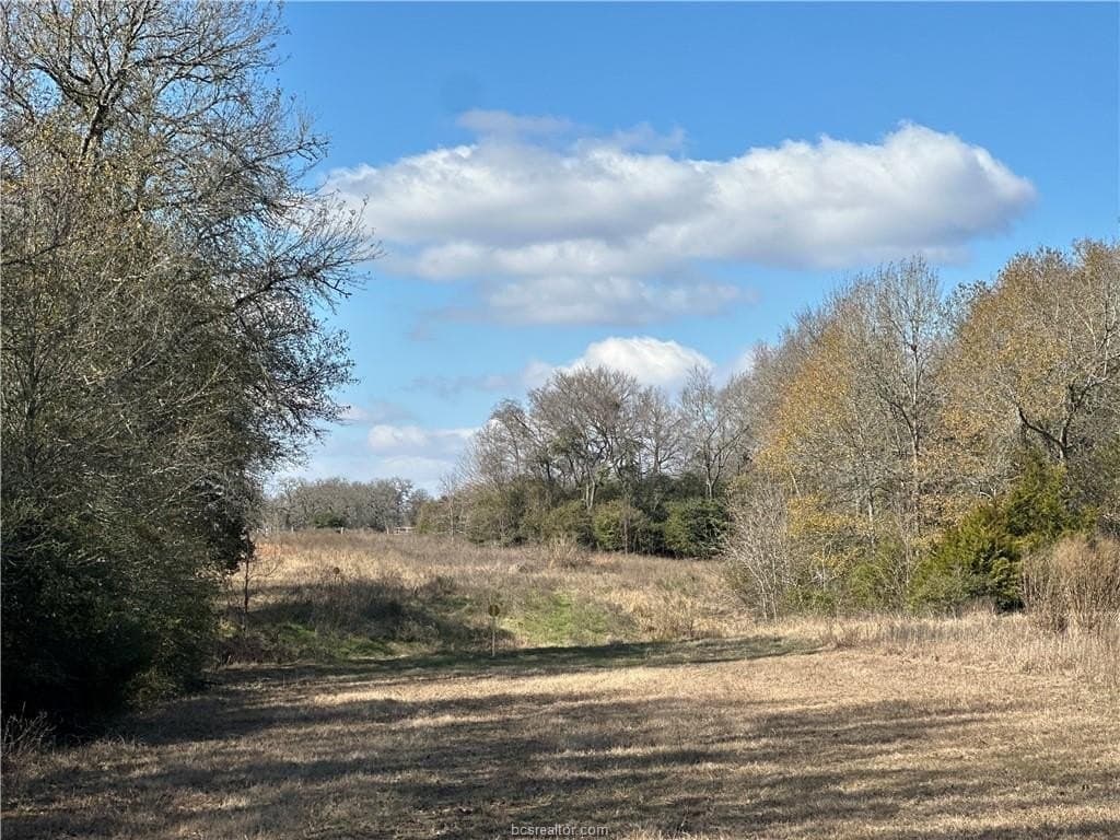 14 acres in Robertson County - photo 7