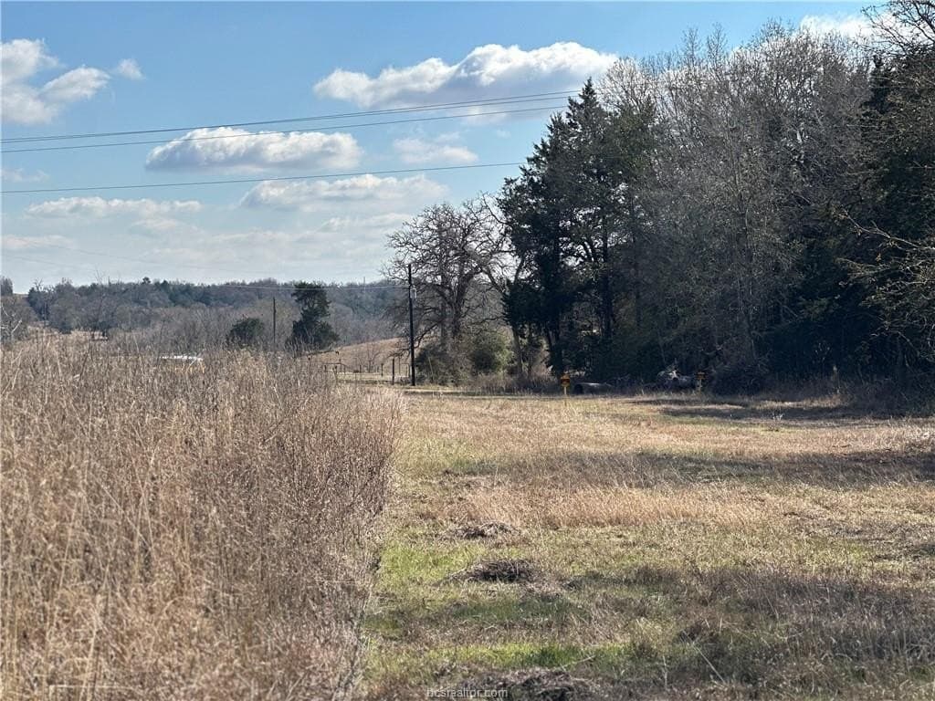 14 acres in Robertson County - photo 10