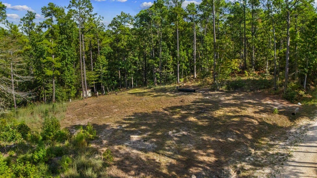 0.35 acres in Texas County - photo 3