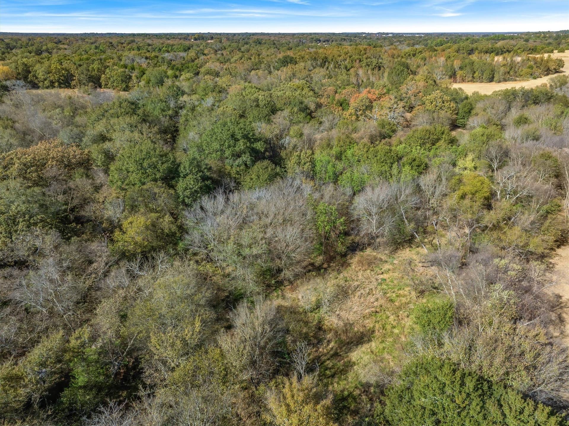6.91 acres in Rains County - photo 21