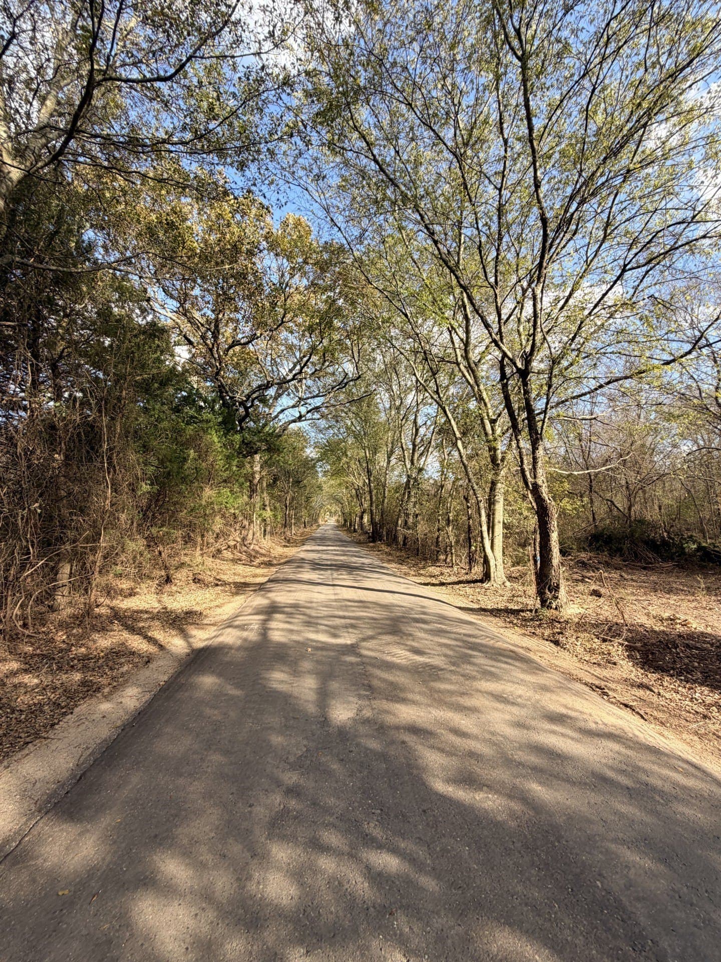 6.91 acres in Rains County - photo 20