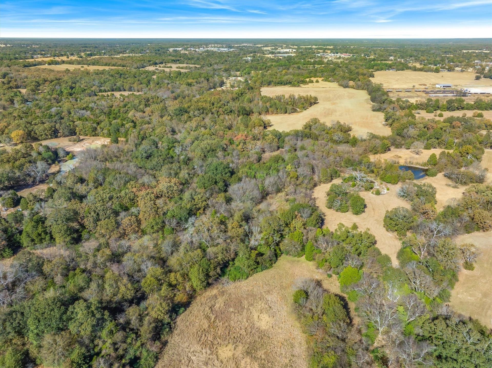 6.91 acres in Rains County - photo 19