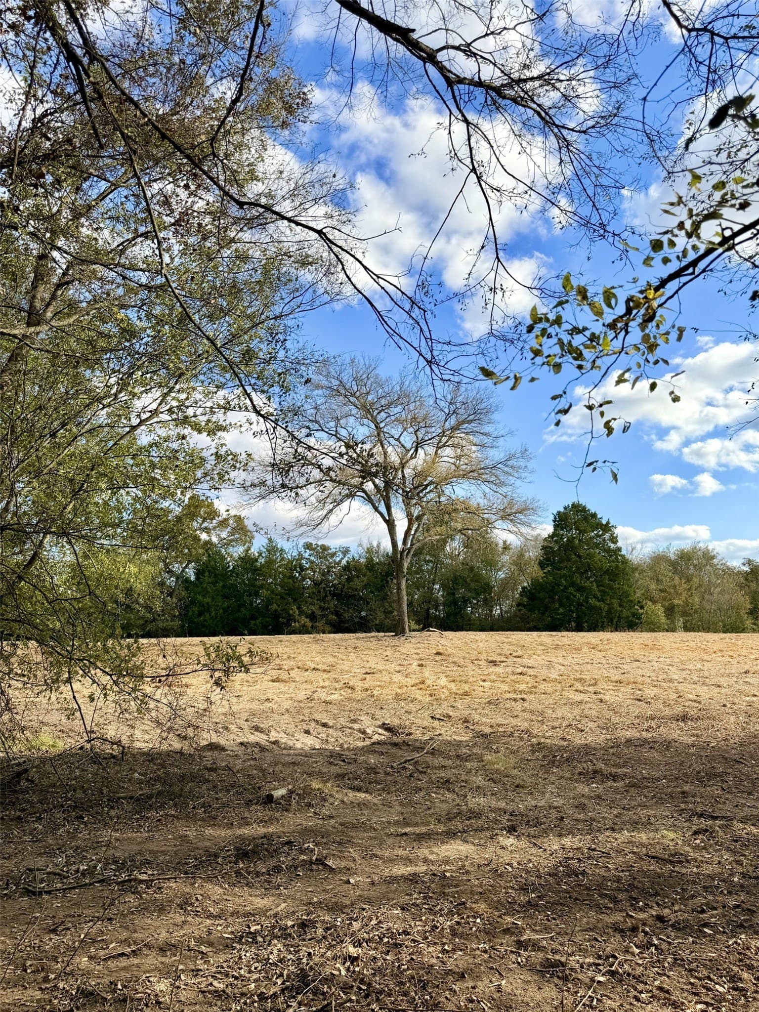 6.91 acres in Rains County - photo 13