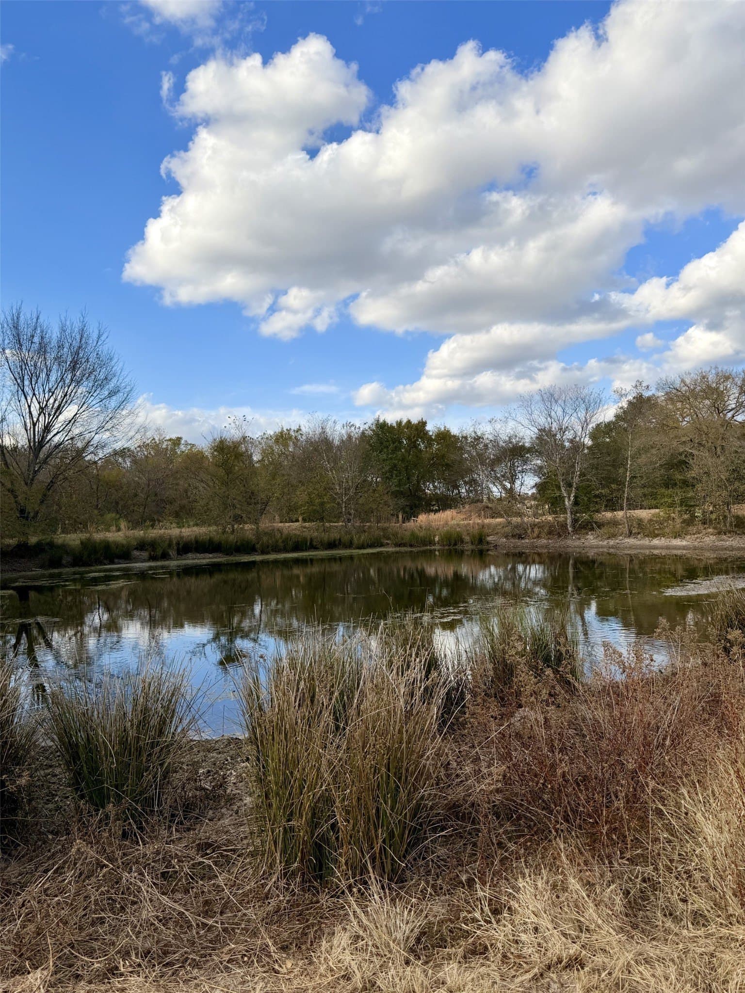 6.91 acres in Rains County - photo 24