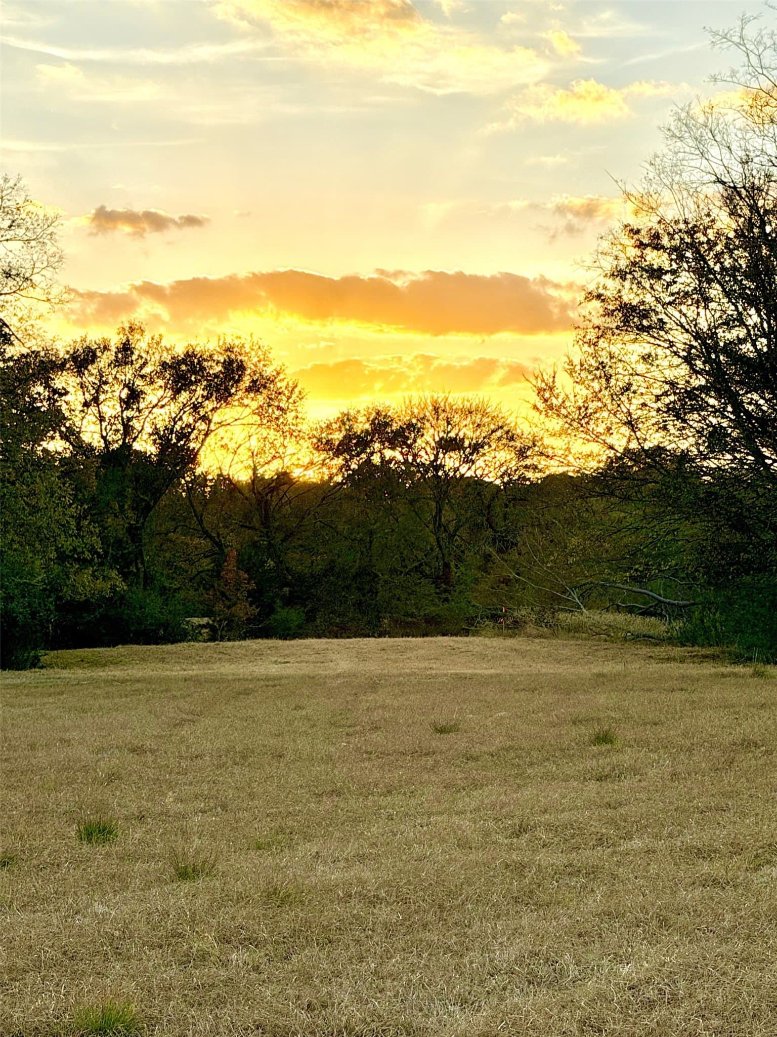 6.91 acres in Rains County - photo 11