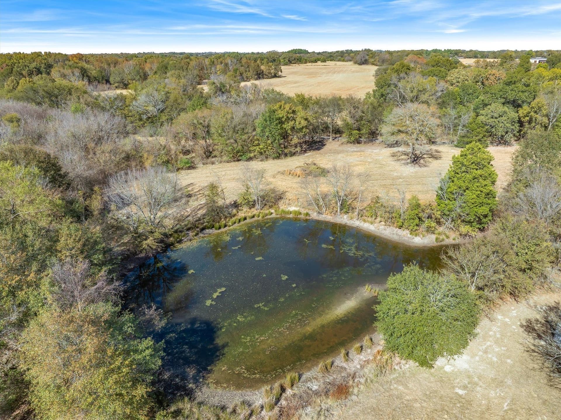 6.91 acres in Rains County - photo 23