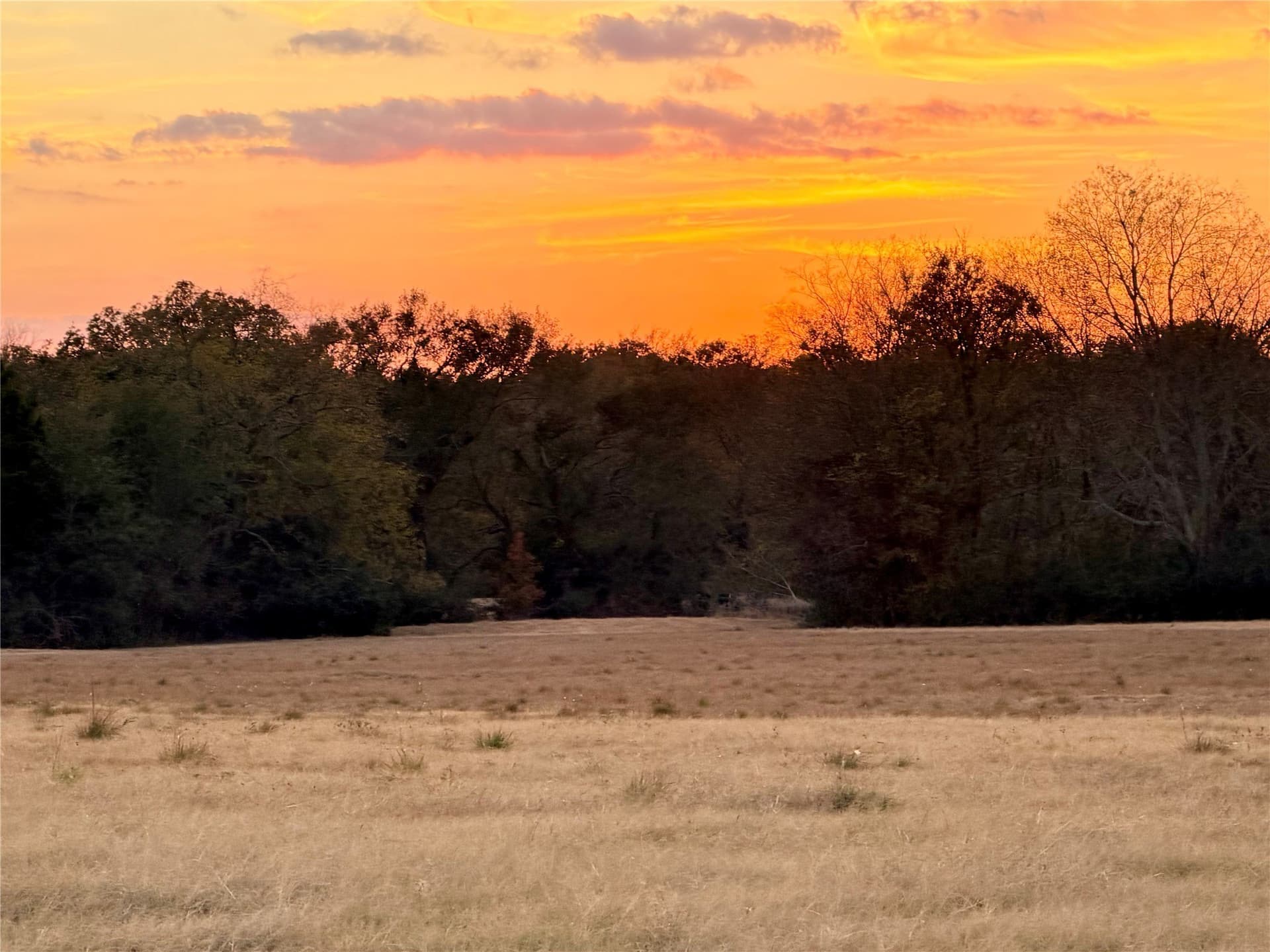 6.91 acres in Rains County - photo 4