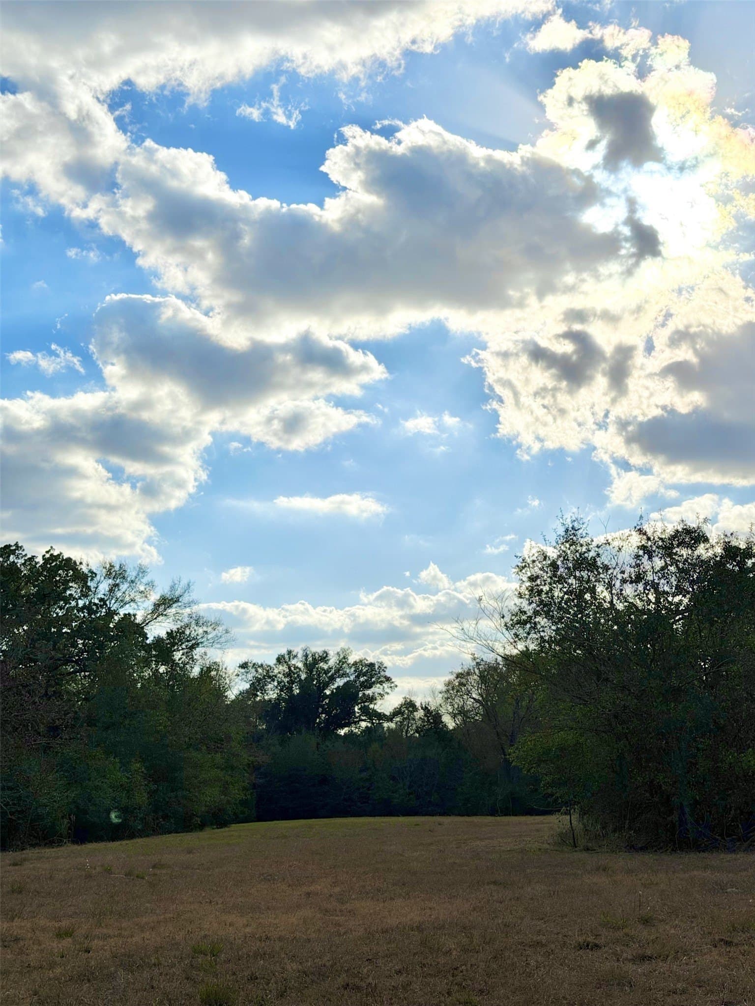 6.91 acres in Rains County - photo 30
