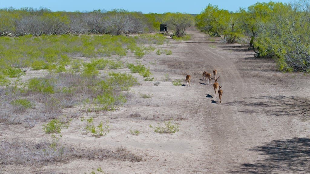 102.08 acres in Duval County - photo 30