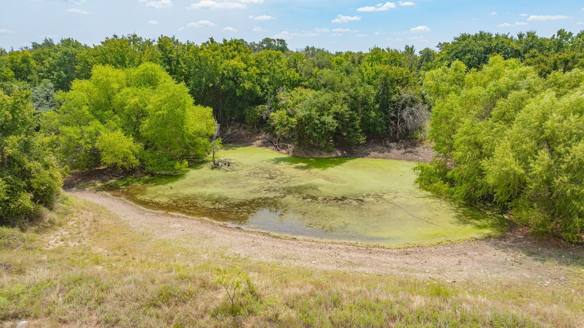 148.2 acres in Erath County - photo 29