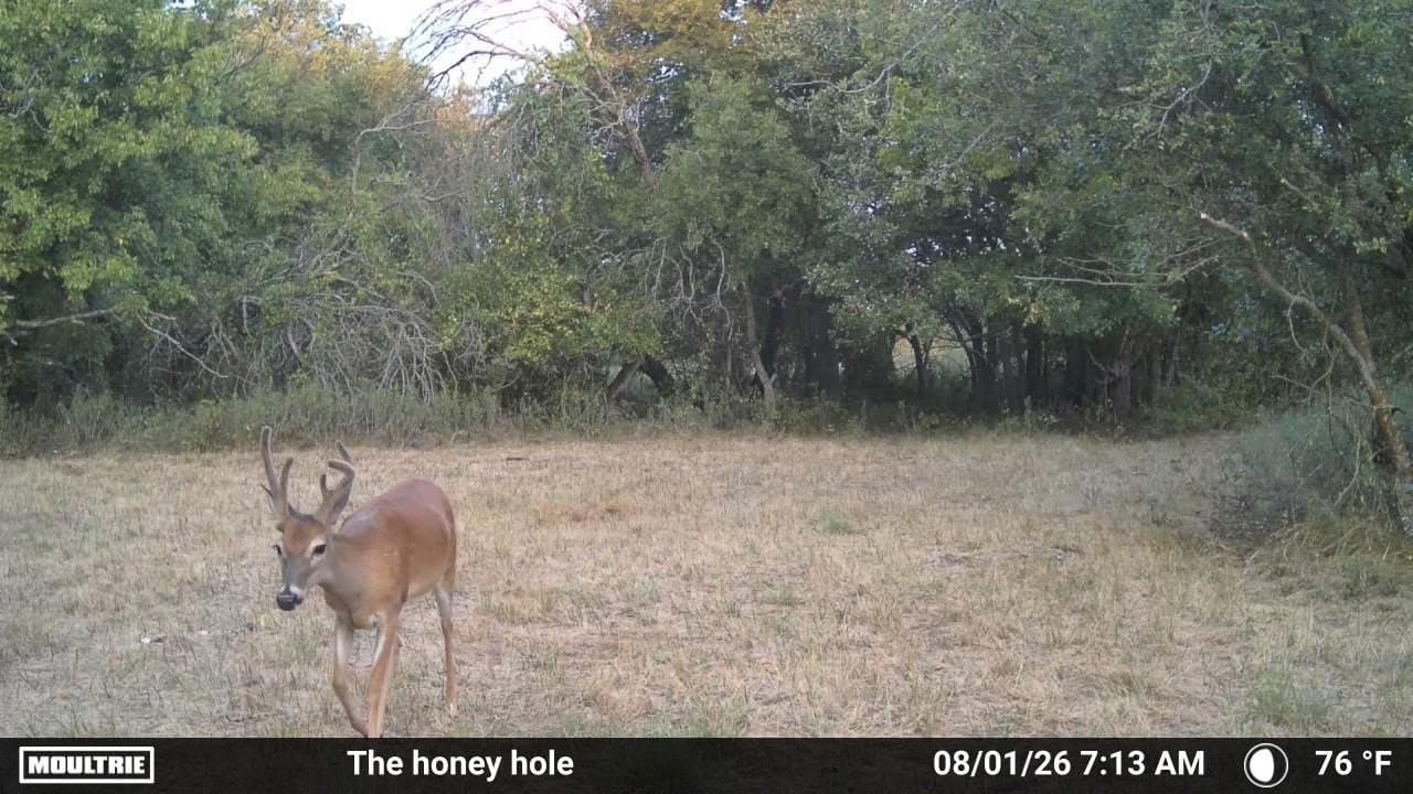 148.2 acres in Erath County - photo 34
