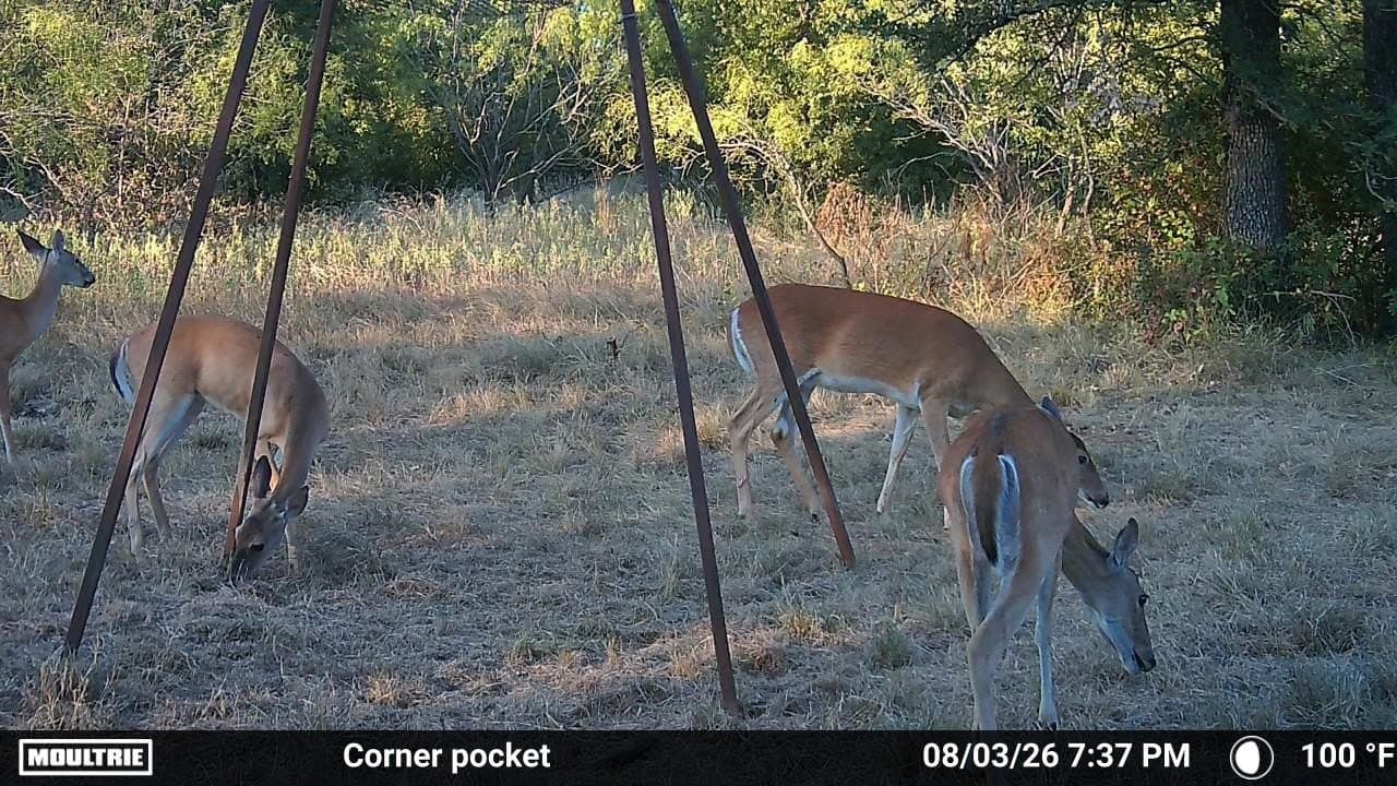 148.2 acres in Erath County - photo 32