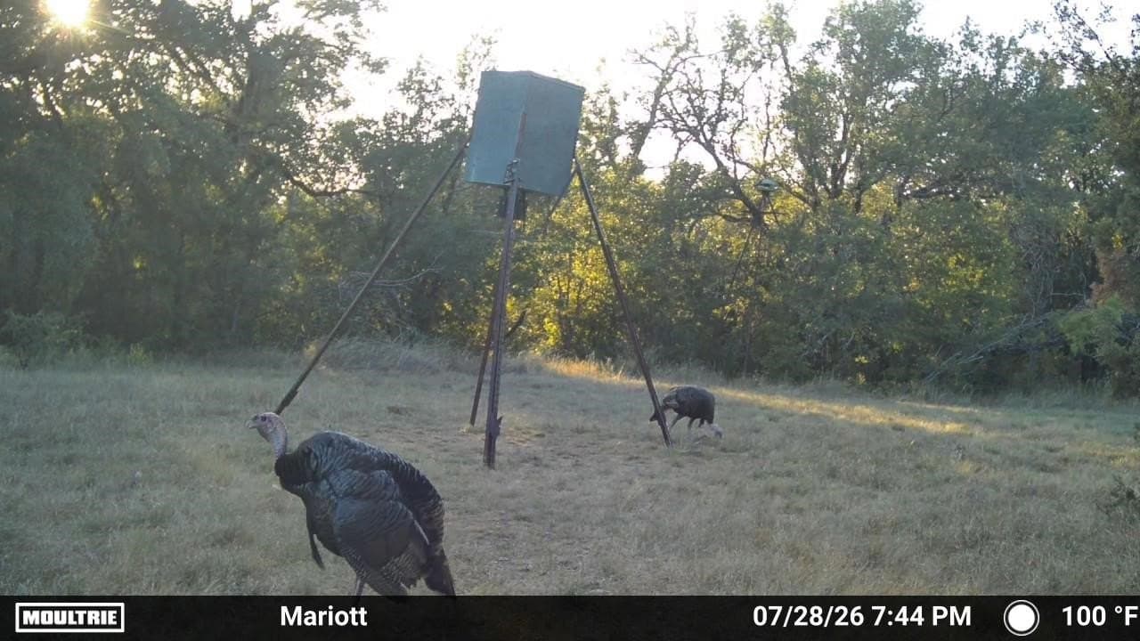 148.2 acres in Erath County - photo 33