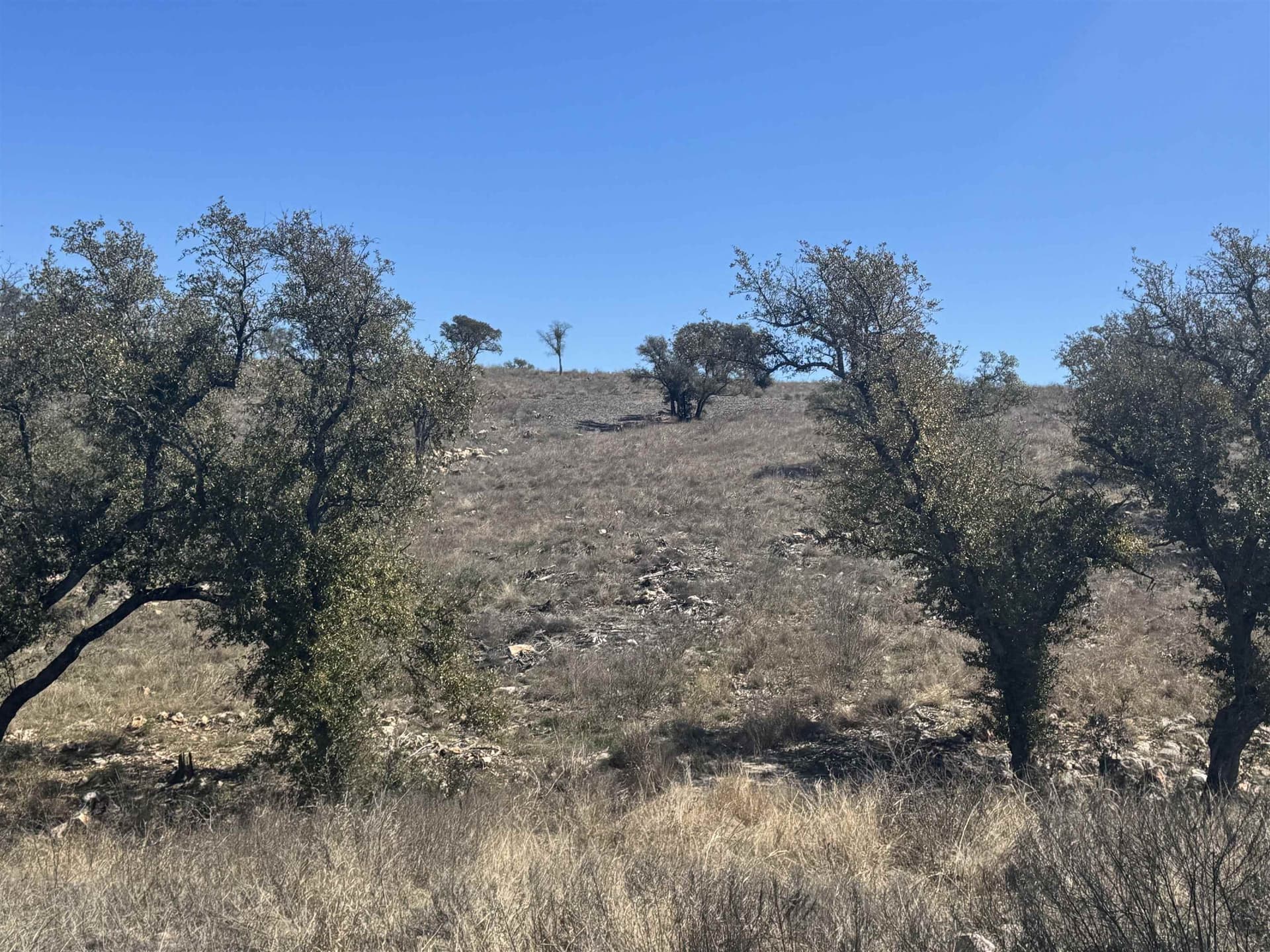 2.65 acres in Burnet County featured view