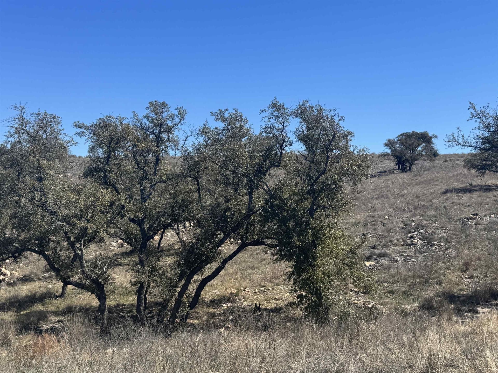 2.65 acres in Burnet County gallery image 2