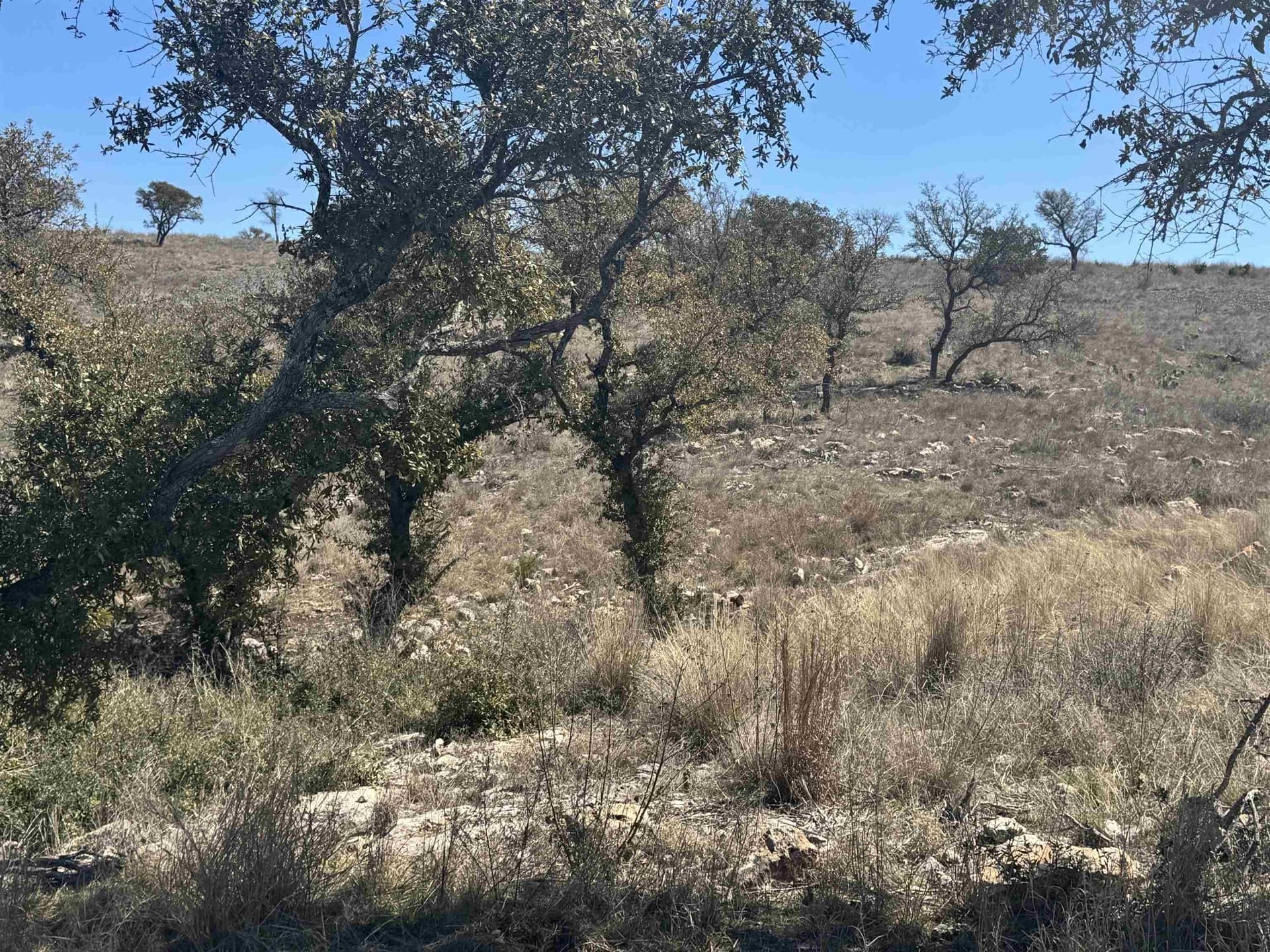2.65 acres in Burnet County gallery image 4