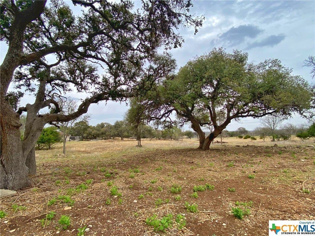 2.38 acres in Blanco County - photo 10