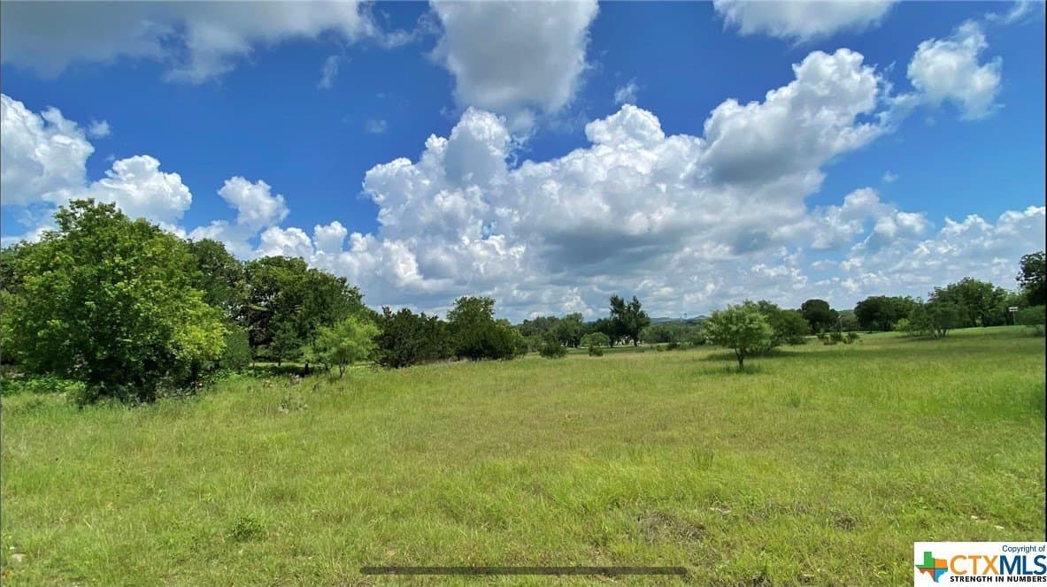 2.38 acres in Blanco County gallery image 4