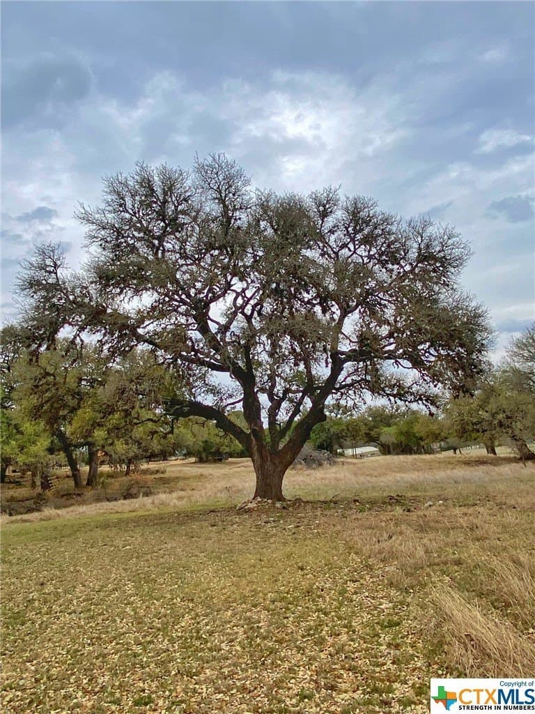2.38 acres in Blanco County - photo 8