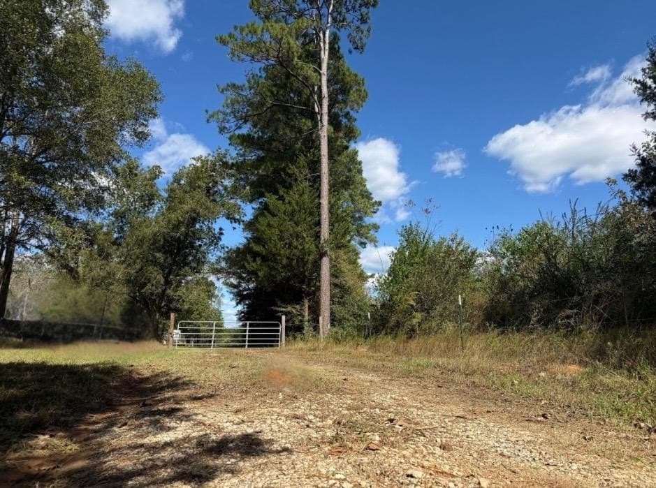 72.08 acres in Texas County gallery image 2