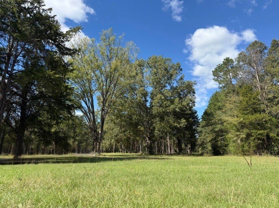 72.08 acres in Texas County gallery image 4