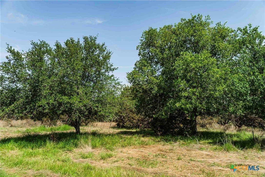 10 acres in Burnet County gallery image 4