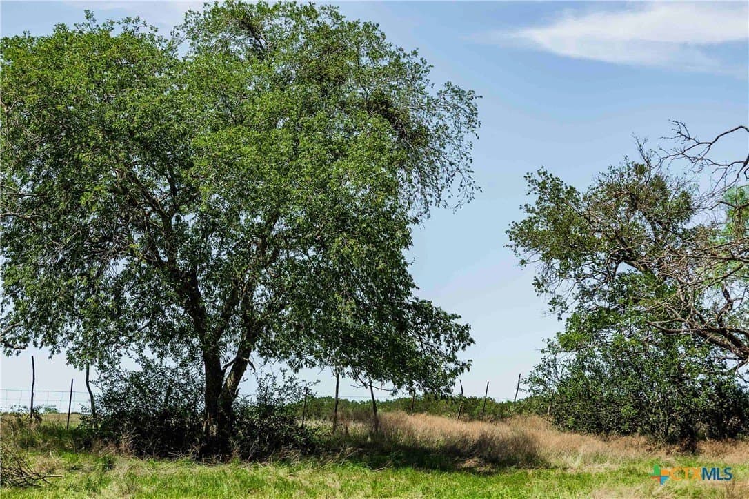 10 acres in Burnet County gallery image 3