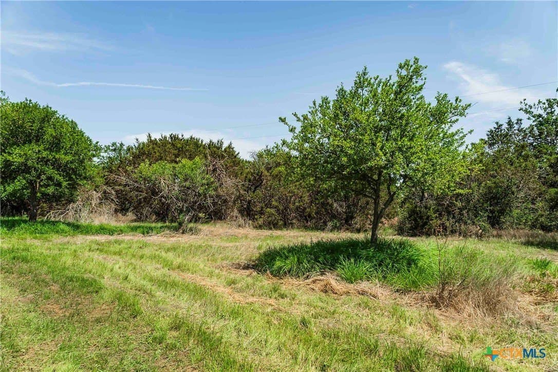10 acres in Burnet County gallery image 2