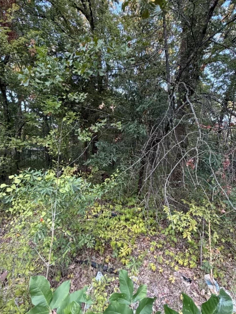 0.11 acres in Henderson County - photo 6